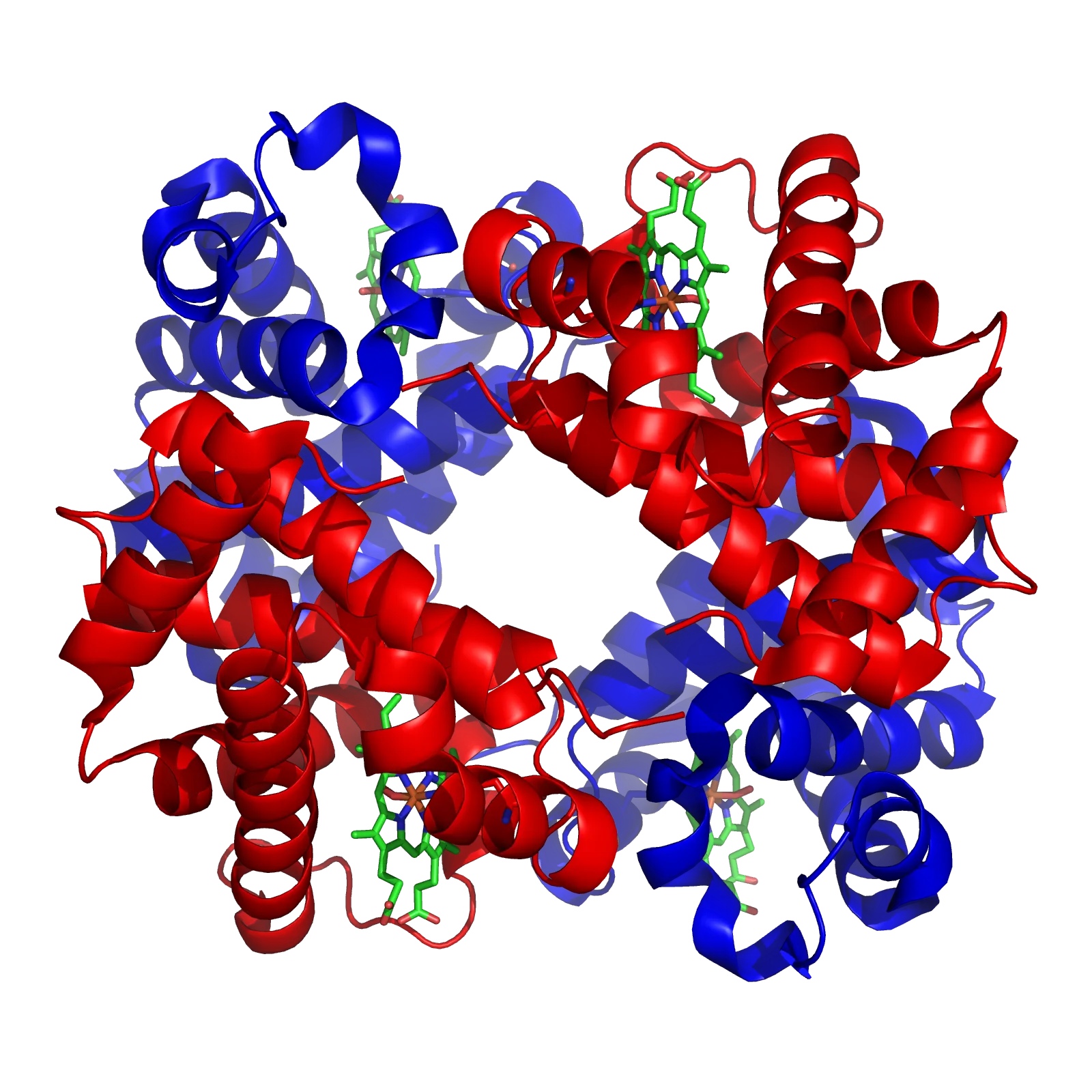 Haemoglobin